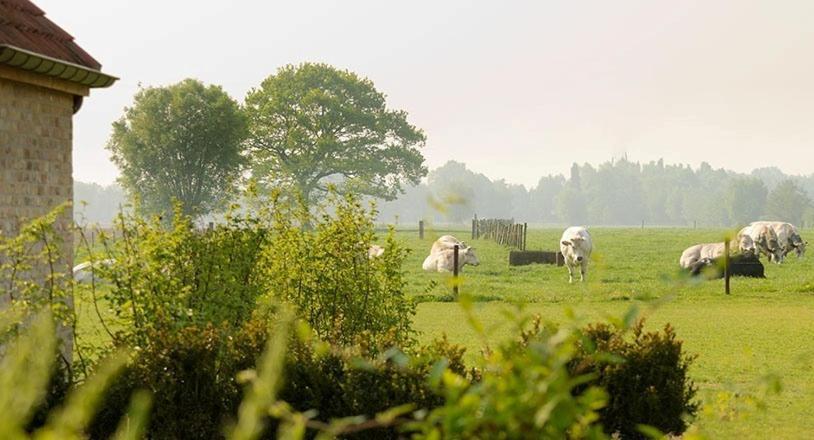 Domein Het Weiland Damme Luaran gambar